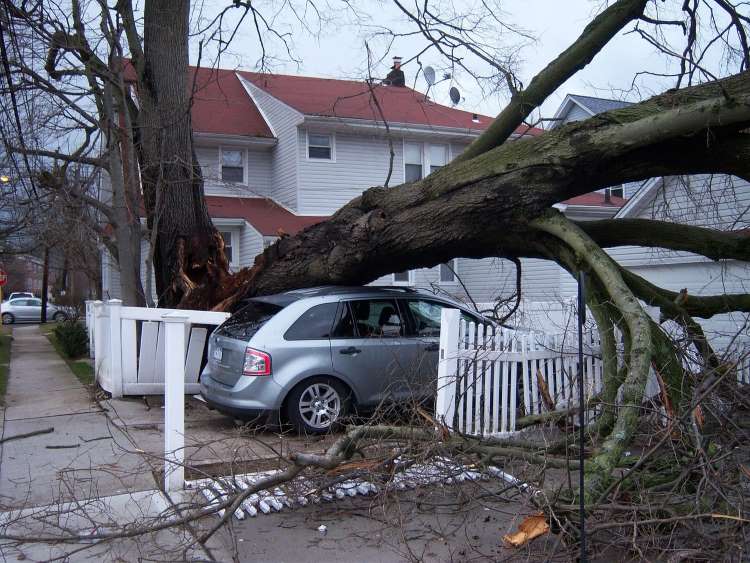 Windstorm insurance