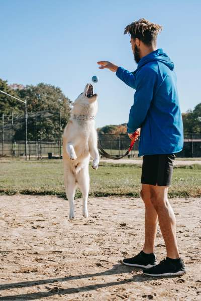 man with dog at dog park near home