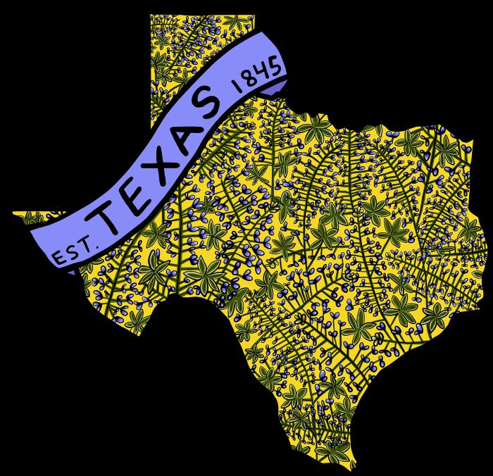 texas property taxes